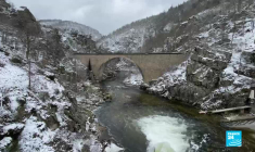 Barrages : sauver les derniers saumons