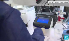 VIH : un nouveau cas de guérison confirmé après une greffe de moelle osseuse