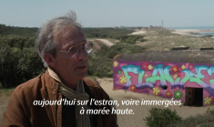 En Gironde, les bunkers de la Seconde Guerre mondiale menacés par l'érosion