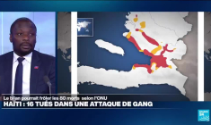 "En Haïti, face aux gangs, la situation est très compliquée", dit le ministre du Commerce