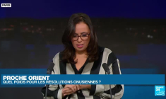 Guerre Israël-Hamas : la situation à Gaza interpelle le conseil de sécurité de l'ONU