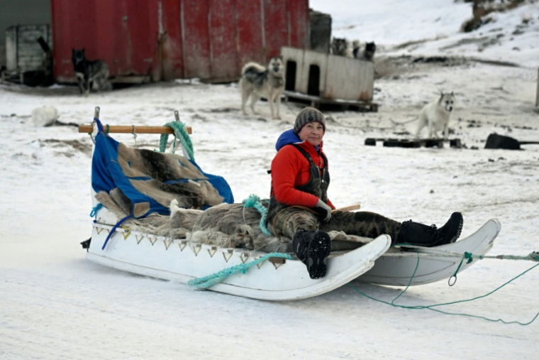 La musher Johanne Bech conduit son attelage de chiens de traîneau pour une sortie d'entraînement près de chez elle à Sisimiut, au Groenland, le 3 février 2026 ( AFP / Ina FASSBENDER )