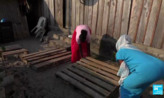 Gabon, la menace climatique : l'érosion risque de faire disparaître Port-Gentil