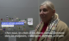 Mi-chats mi-pachas: Istanbul sous la griffe de ses félins