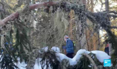 Climat : la fin du ski ?