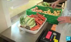 Restos du cœur : une 38e campagne sur fond de précarité aggravée