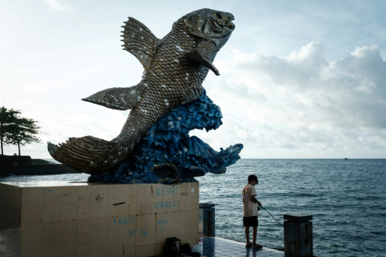 A statue de cœlacanthe, poisson considéré comme un "fossile vivant", à Manado, en Indonésie, le 8 janvier 2026 ( AFP / YASUYOSHI CHIBA )