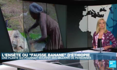 Keulion, body painter : "Le corps, c'est la sculpture parfaite"