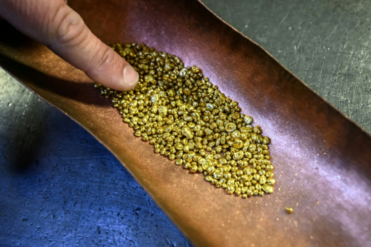 Des granulés d'or, amenés à être fondus pour la confection d'une Palme d'or cannoise, le 21 avril 2026, dans un atelier de la maison Chopard à Meyrin, près de Genève  ( AFP / Fabrice COFFRINI )