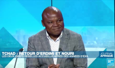 Algérie : des incendies meurtriers ravagent le nord du pays