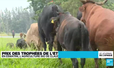 En Eswatini, l'agriculture biologique en pleine croissance