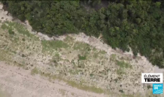 COP28 : Brésil, sécheresse en Amazonie