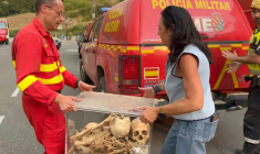 Cette capture d'écran d'une vidéo fournie et diffusée par l'Unité militaire d'urgence (UME) espagnole montre des pompiers en train d'emporter les ossements des premiers rois d'Aragon, le 13 août 2026 ( UME / Handout )