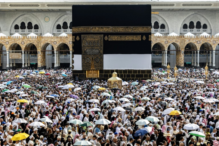 L'année dernière, plus de 1,8 million de musulmans ont pris part au hajj en Arabie saoudite ( AFP / - )