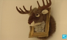 France - PMA pour toutes : qu'en est-il chez nos voisins européens ?