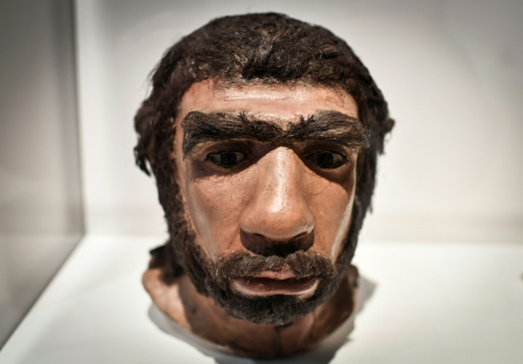 Un moulage reconstituant le visage d'un homme de Néandertal, exposé au Musée de l'Homme à Paris, le 26 mars 2018 ( AFP / STEPHANE DE SAKUTIN )