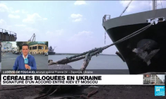 Accord entre l'Ukraine et la Russie sur les céréales : à Kiev, la prudence règne