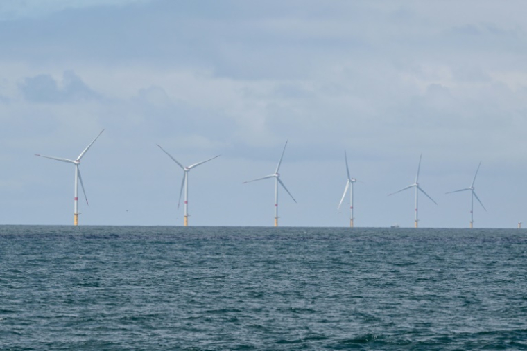 Le parc éolien de Yeu-Noirmoutier, en Vendée, le 23 juin 2025 ( AFP / Damien MEYER )