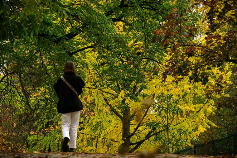 ( AFP / PHILIPPE LOPEZ )