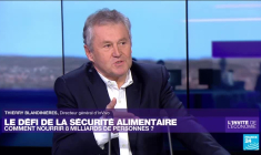 Céréales : pour le directeur d'InVivo, "nous avons répondu aux demandes de nos clients africains"