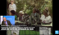 Législatives en Afrique du Sud : comment expliquer la perte de vitesse de l'ANC ?