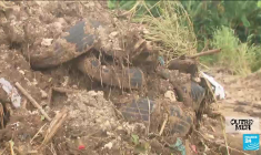 Guyane : un programme pour sortir des "mules" du trafic de drogue