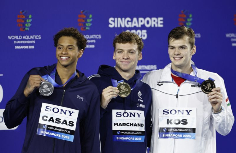 Natation - Championnats du monde d'aquatique à Singapour