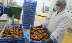 ( AFP / JEAN-FRANCOIS MONIER )