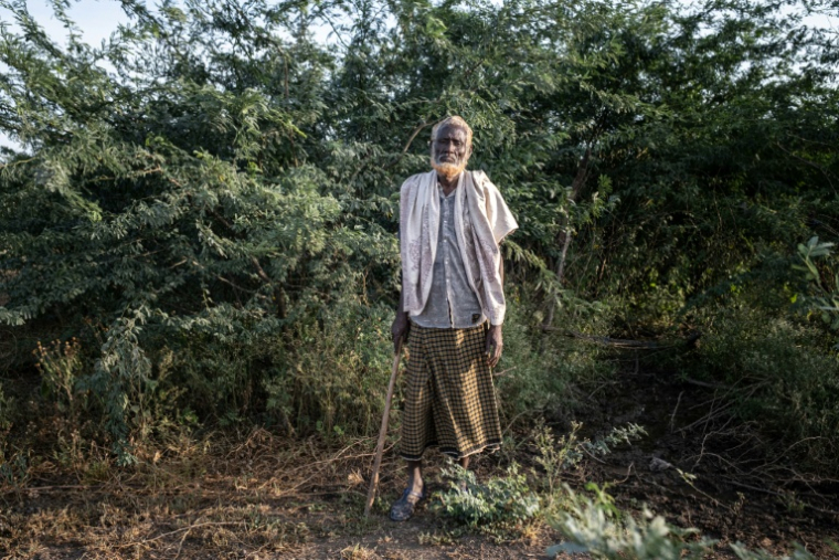 Yusuf Mohammed, éleveur dans un des villages les plus touchés par l'invasion de prosopis, arbuste épineux originaire d'Amérique latine, le 16 octobre 2025 à Amibara, dans la région de l'Afar, en Ethiopie ( AFP / Marco Simoncelli )