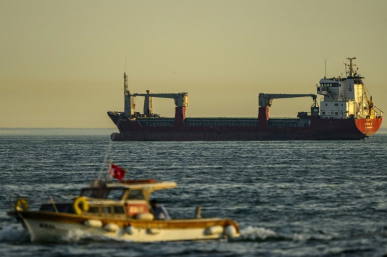 Le cargo Azra C, battant pavillon mongolien, au mouillage dans la mer de Marmara, au large d'Istanbul, le 4 juin 2026 en Turquie ( AFP / Yasin AKGUL )
