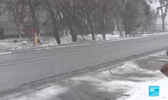 Trois semaines de guerre en Ukraine : la population face au choc de l'invasion russe