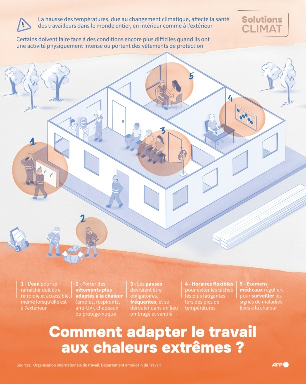 Comment adapter le travail aux chaleurs extrêmes ? ( AFP / Ioana PLESEA )