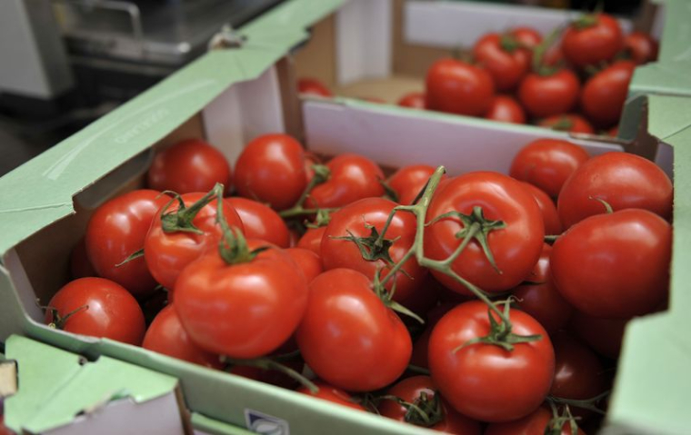 Tomates présentées à la vente sur un marché fermier dans la ville de Hambourg, dans le nord de l'Allemagne