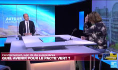 Après les élections, quel avenir pour le pacte vert européen?