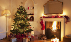 Nos conseils pour bien choisir son sapin. crédit photo : Getty Images