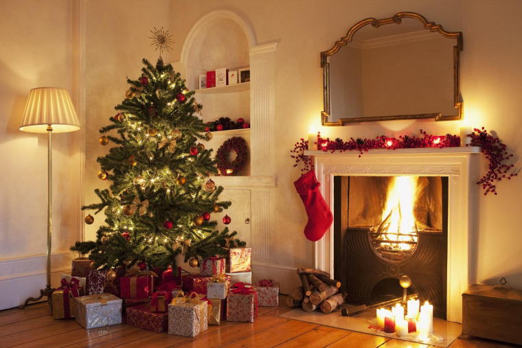 Nos conseils pour bien choisir son sapin. crédit photo : Getty Images