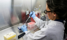 Photo diffusée par le ministère argentin de la Santé montrant une scientifique de l'Institut Malbran manipulant des tubes utilisés pour diagnostiquer l'hantavirus andin, le 6 mai 2026 à Buenos Aires ( Ministère argentin de la Santé / Handout )