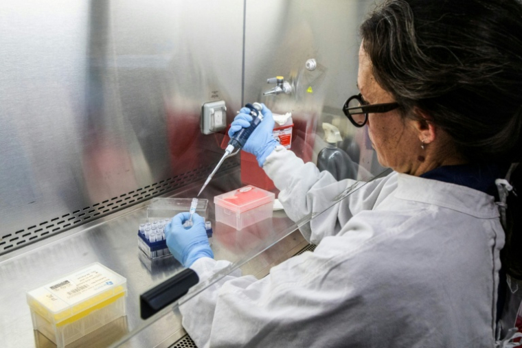 Photo diffusée par le ministère argentin de la Santé montrant une scientifique de l'Institut Malbran manipulant des tubes utilisés pour diagnostiquer l'hantavirus andin, le 6 mai 2026 à Buenos Aires ( Ministère argentin de la Santé / Handout )