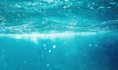 (Crédits photo : Freepik / Frimufilms -  )