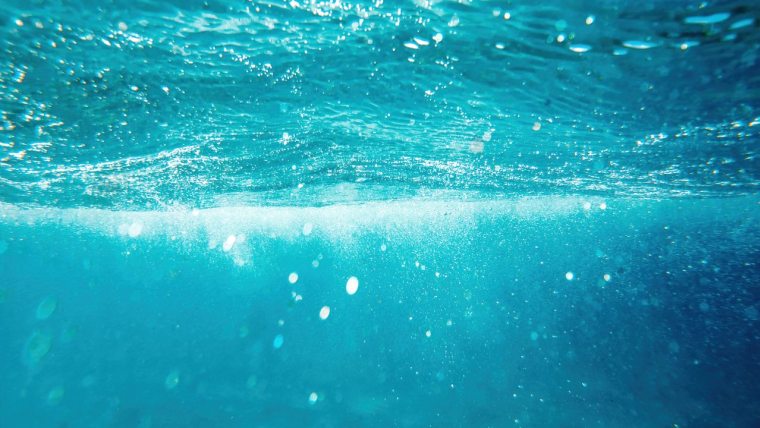 (Crédits photo : Freepik / Frimufilms -  )