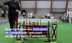 Suède: le gratin du saut de lapin réuni pour les championnats d'Europe