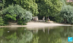 LSD thérapeutique : des traitements autorisés en Suisse, des craintes d'automédication en Allemagne