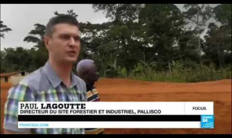 Cameroun : la mort à petit feu des pygmées Baka, victimes de la déforestation