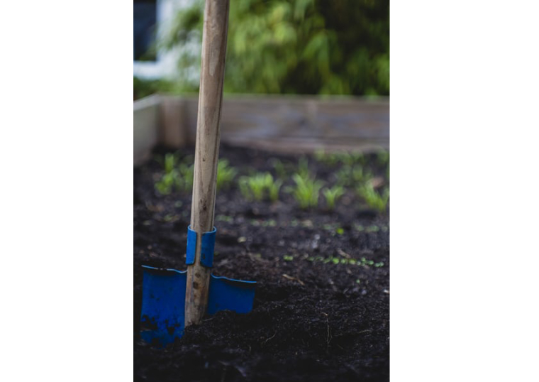 Maintenant, aux fourneaux…ou au jardin.