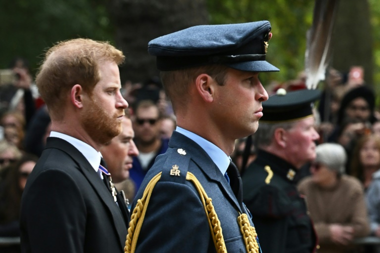 Les princes William, au premier plan, et Harry, fils du roi d'Angleterre Charles III, aux funérailles de la reine Elizabeth, le 19 septembre 2022 ( POOL / Paul ELLIS )