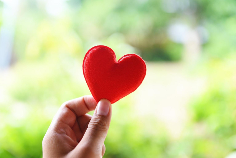 Les dons auprès de certains organismes peuvent être soustraits des droits de succession