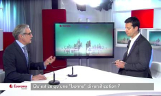 La diversification, pourquoi est-ce important ? (VIDEO)