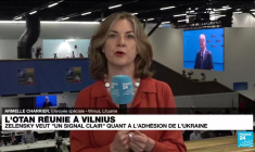 Sommet de l'Otan à Vilnius : "le président Volodymyr Zelensky vient chercher de l'armement"