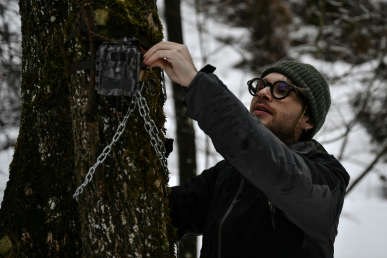 Le biologiste Marco Granata vérifie un piège photographique  à Entracque (Italie), le 22 décembre 2025 ( AFP / MARCO BERTORELLO )