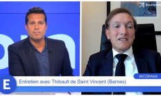 Thibault de Saint Vincent : "On estime la baisse dans l'immobilier de luxe autour de 10% cette année !"